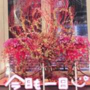ヒメ日記 2026/10/06 19:50 投稿 冠城りさこ 五十路マダムエクスプレス横浜店（カサブランカグループ）