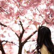 ヒメ日記 2026/04/02 18:00 投稿 さやか 横浜人妻セレブリティ（ユメオト）