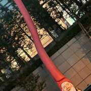 ヒメ日記 2026/04/03 19:20 投稿 風羽（ふぅ） NOA（ノア）