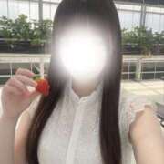 風羽（ふぅ） 今日いる NOA（ノア）