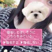 ヒメ日記 2026/04/12 17:21 投稿 えみりちゃん ちょい！ぽちゃロリ倶楽部Hip's馬橋店