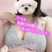 ヒメ日記 2026/04/14 22:21 投稿 えみりちゃん ちょい！ぽちゃロリ倶楽部Hip's馬橋店