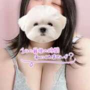 ヒメ日記 2026/04/17 20:51 投稿 えみりちゃん ちょい！ぽちゃロリ倶楽部Hip's馬橋店