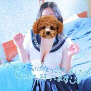ヒメ日記 2026/04/21 23:11 投稿 えみりちゃん ちょい！ぽちゃロリ倶楽部Hip's馬橋店
