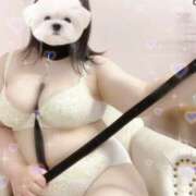 ヒメ日記 2026/04/24 15:41 投稿 えみりちゃん ちょい！ぽちゃロリ倶楽部Hip's馬橋店