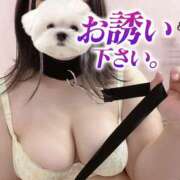 ヒメ日記 2026/04/27 17:51 投稿 えみりちゃん ちょい！ぽちゃロリ倶楽部Hip's馬橋店