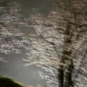 ヒメ日記 2026/04/02 10:00 投稿 佐藤　ふうか 30・40・50代☆人妻熟女コレクション