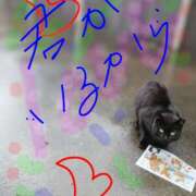 ヒメ日記 2026/04/11 12:55 投稿 亜美 ぎんねこ