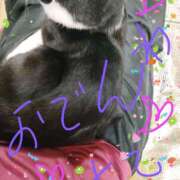 ヒメ日記 2026/04/14 11:38 投稿 亜美 ぎんねこ