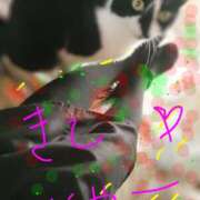 ヒメ日記 2026/04/20 13:36 投稿 亜美 ぎんねこ