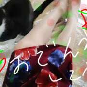 ヒメ日記 2026/04/24 13:35 投稿 亜美 ぎんねこ