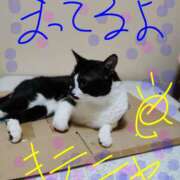 ヒメ日記 2026/06/20 21:14 投稿 亜美 ぎんねこ