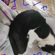 ヒメ日記 2026/07/15 22:07 投稿 亜美 ぎんねこ