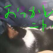 ヒメ日記 2026/07/27 19:38 投稿 亜美 ぎんねこ