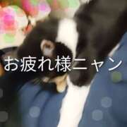 ヒメ日記 2026/08/22 00:32 投稿 亜美 ぎんねこ