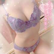 ヒメ日記 2026/04/14 10:07 投稿 きら I❤HIMEJI（アイラブ姫路）