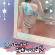 ヒメ日記 2026/04/14 12:37 投稿 きら I❤HIMEJI（アイラブ姫路）