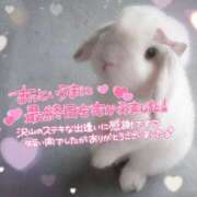 ヒメ日記 2026/04/18 23:27 投稿 きら I❤HIMEJI（アイラブ姫路）