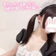 ヒメ日記 2026/05/25 10:06 投稿 きら I❤HIMEJI（アイラブ姫路）
