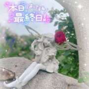 ヒメ日記 2026/05/27 09:34 投稿 きら I❤HIMEJI（アイラブ姫路）