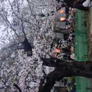 ヒメ日記 2026/04/05 10:48 投稿 五月 ぎんねこ