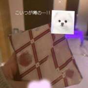 ヒメ日記 2026/04/20 13:32 投稿 桃園ハニー Evolution1st キタ兎我野店