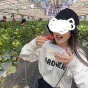 ヒメ日記 2026/04/11 22:16 投稿 みやび【FG系列】 フィーリングin横浜