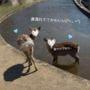 ヒメ日記 2026/04/29 10:41 投稿 桃園ハニー Evolution3rd 北新地