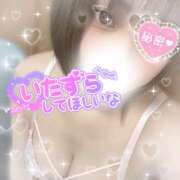 ヒメ日記 2026/04/12 17:22 投稿 りん ちゃんこ藤沢茅ヶ崎店