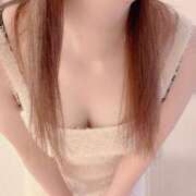 ひより 春 夢幻（むげん）