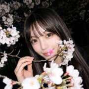 ヒメ日記 2026/05/11 21:56 投稿 夜空はなび Claris Tokyo～クラリス東京～