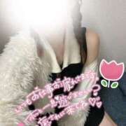 ヒメ日記 2026/04/15 07:10 投稿 心羽菜/こはな ANEJE～アネージュ池袋～(ユメオト)