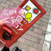 ヒメ日記 2026/04/16 09:07 投稿 心羽菜/こはな ANEJE～アネージュ池袋～(ユメオト)