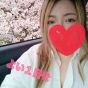 なな 日曜日の夜は 茨城ちゃんこ土浦つくば店