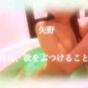 ヒメ日記 2026/04/24 22:31 投稿 矢野-やの- ただ離婚してないだけ