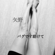 ヒメ日記 2026/04/28 21:23 投稿 矢野-やの- ただ離婚してないだけ