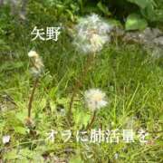 ヒメ日記 2026/05/18 12:49 投稿 矢野-やの- ただ離婚してないだけ