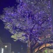 ヒメ日記 2026/04/07 20:21 投稿 七瀬みあ お姉さんCLUB