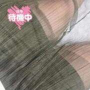 ヒメ日記 2026/04/14 18:19 投稿 かなみ 福岡ちゃんこ大牟田店