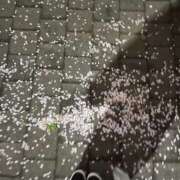 ヒメ日記 2026/04/12 15:01 投稿 フジ 飾窓