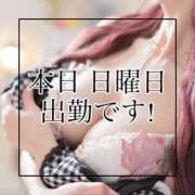 ヒメ日記 2026/04/19 10:53 投稿 あおぞら【妃】 恵比寿コレクション　久留米本店
