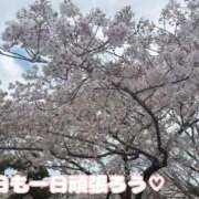 ヒメ日記 2026/04/06 08:03 投稿 しほ【妃】 恵比寿コレクション　久留米本店