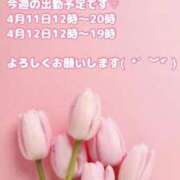 ヒメ日記 2026/04/06 12:03 投稿 しほ【妃】 恵比寿コレクション　久留米本店