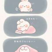 ヒメ日記 2026/04/10 08:13 投稿 しほ【妃】 恵比寿コレクション　久留米本店