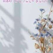 しほ【妃】 K様へ♡お礼日記(❁ᴗ͈ˬᴗ͈)♥️ 恵比寿コレクション　久留米本店