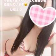 ヒメ日記 2026/04/17 07:03 投稿 しほ【妃】 恵比寿コレクション　久留米本店
