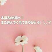 ヒメ日記 2026/04/18 15:02 投稿 しほ【妃】 恵比寿コレクション　久留米本店