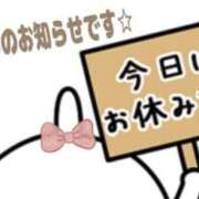 ヒメ日記 2026/04/19 12:09 投稿 しほ【妃】 恵比寿コレクション　久留米本店