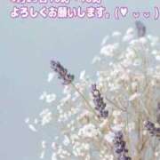 ヒメ日記 2026/04/26 17:23 投稿 しほ【妃】 恵比寿コレクション　久留米本店