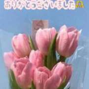 ヒメ日記 2026/05/09 16:03 投稿 しほ【妃】 恵比寿コレクション　久留米本店
